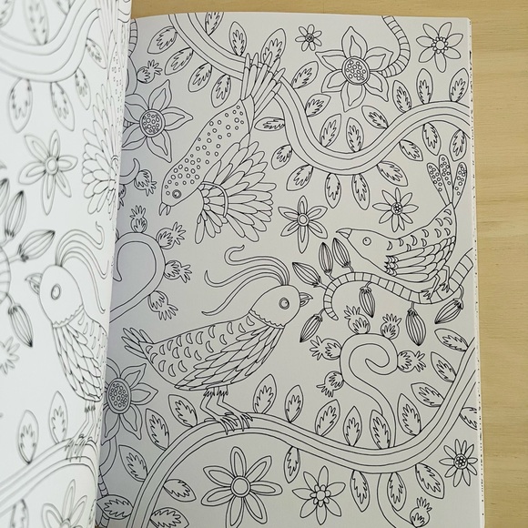 Birds of Paradise: A Therapeutic Coloring Book for Adults - Picture 9 of 9